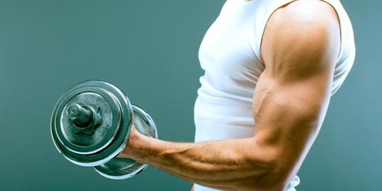 Die Fähigkeit eines Muskels, aufgrund einer Belastung einen Widerstand zu leisten, wird als Widerstand bezeichnet