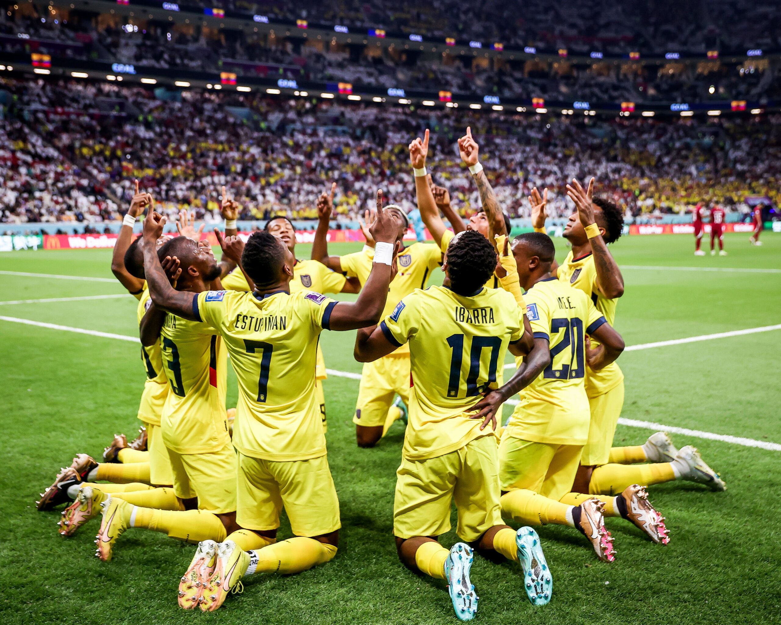 Review: Ekuador Ganas! Qatar Melempem!